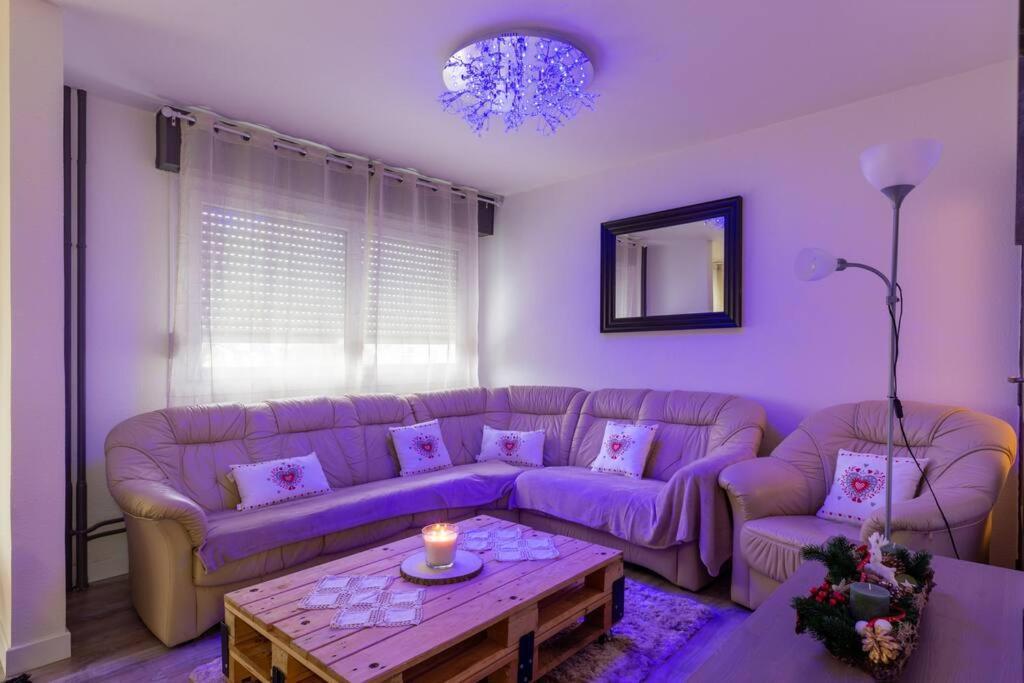 Superbe Appartement Spacieux Avec Parking Gratuit Ильзак Экстерьер фото